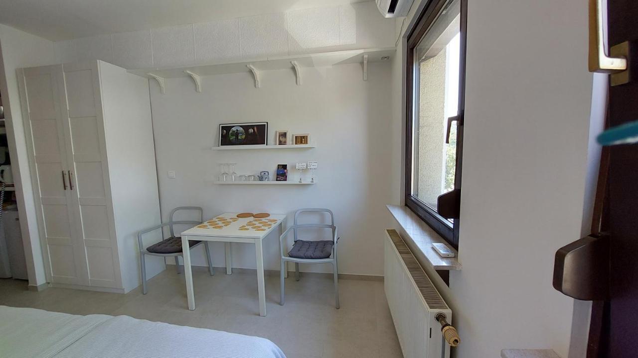 Cozy, Bright And Affordable Studio W/ Free Parking Lublana Zewnętrze zdjęcie